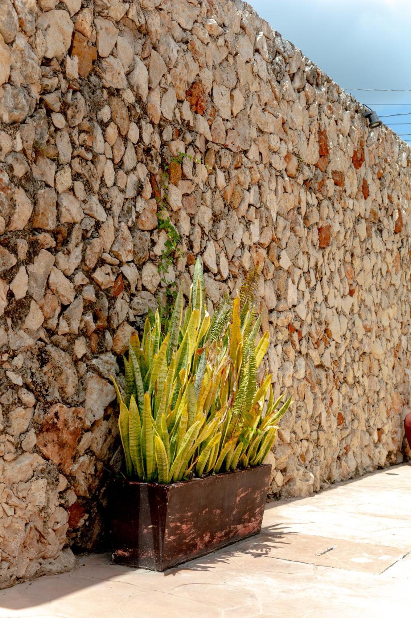 In Wotoch Departamentos Con Estacionamiento Lägenhet Valladolid  Exteriör bild